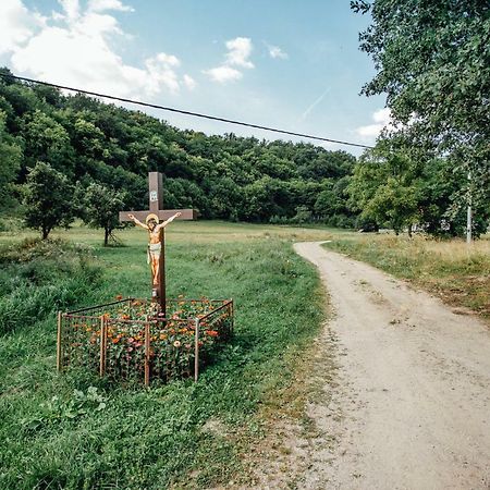 Banská Štiavnica Antosikov Majer旅馆 外观 照片
