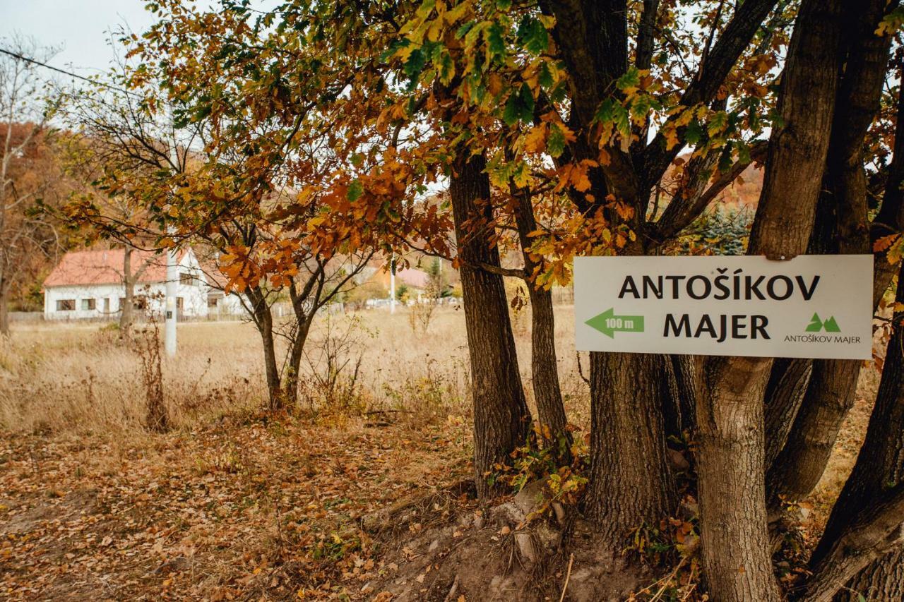 Banská Štiavnica Antosikov Majer旅馆 外观 照片