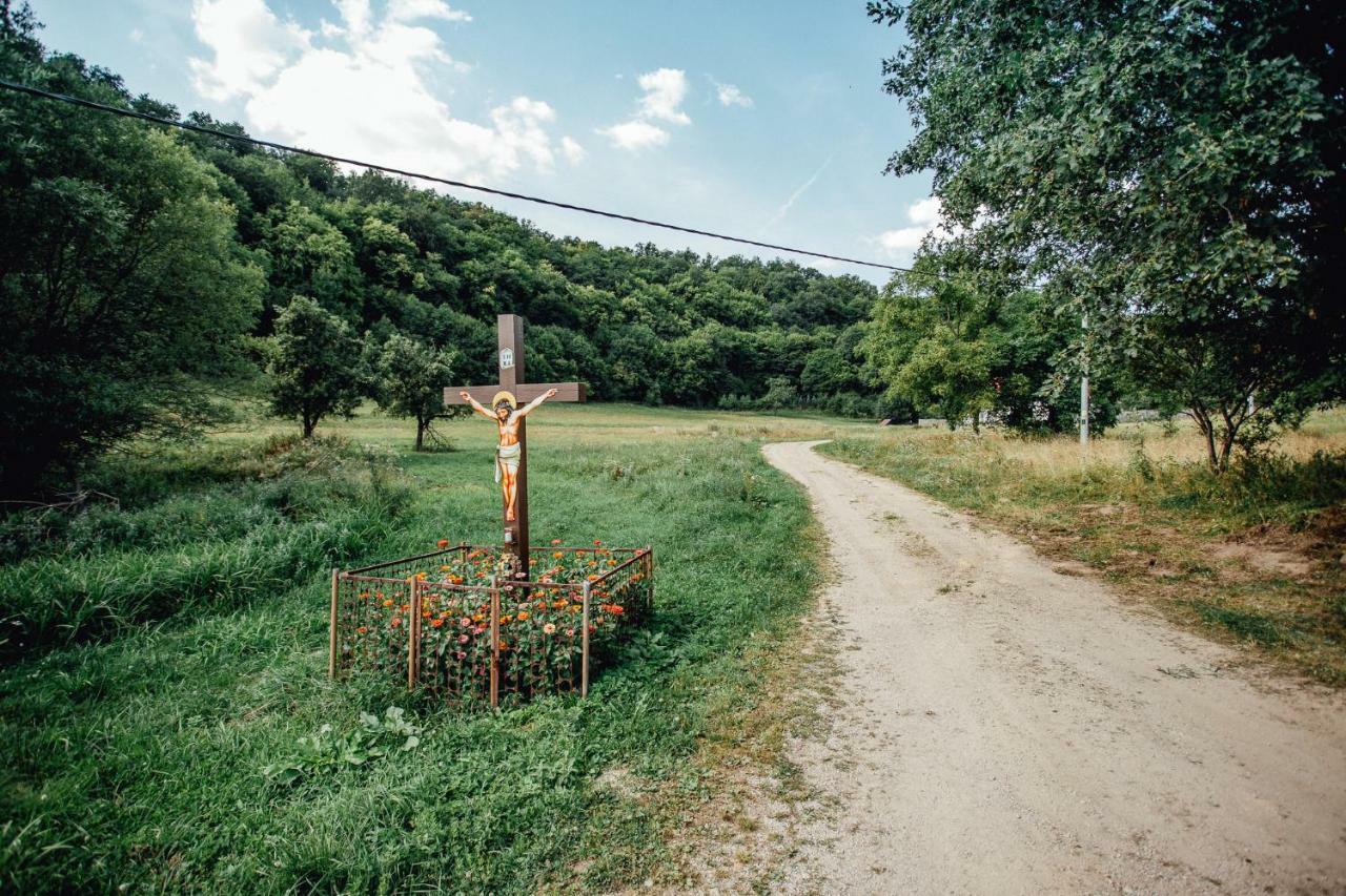 Banská Štiavnica Antosikov Majer旅馆 外观 照片